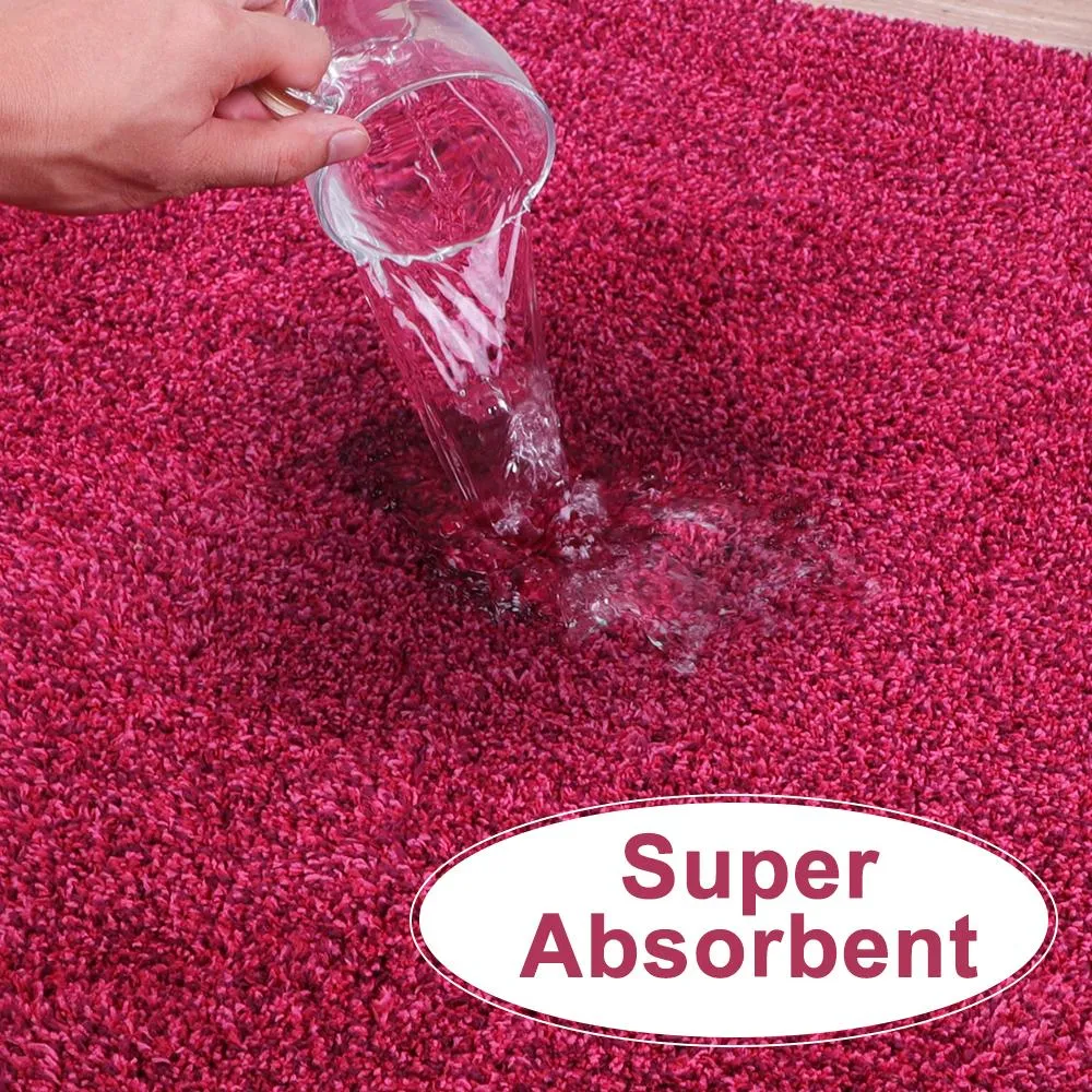 BEAU JARDIN Indoor Super Absorbs Mud Doormat 36"x24" BG107