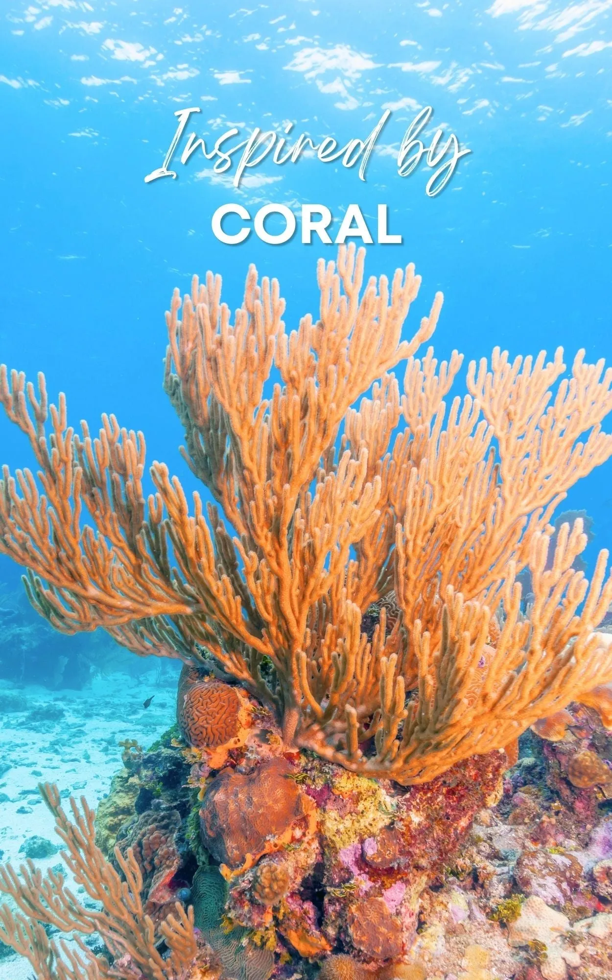 Coral 1/8 oz Perfume Oil Concentrate Roll-On by Sage