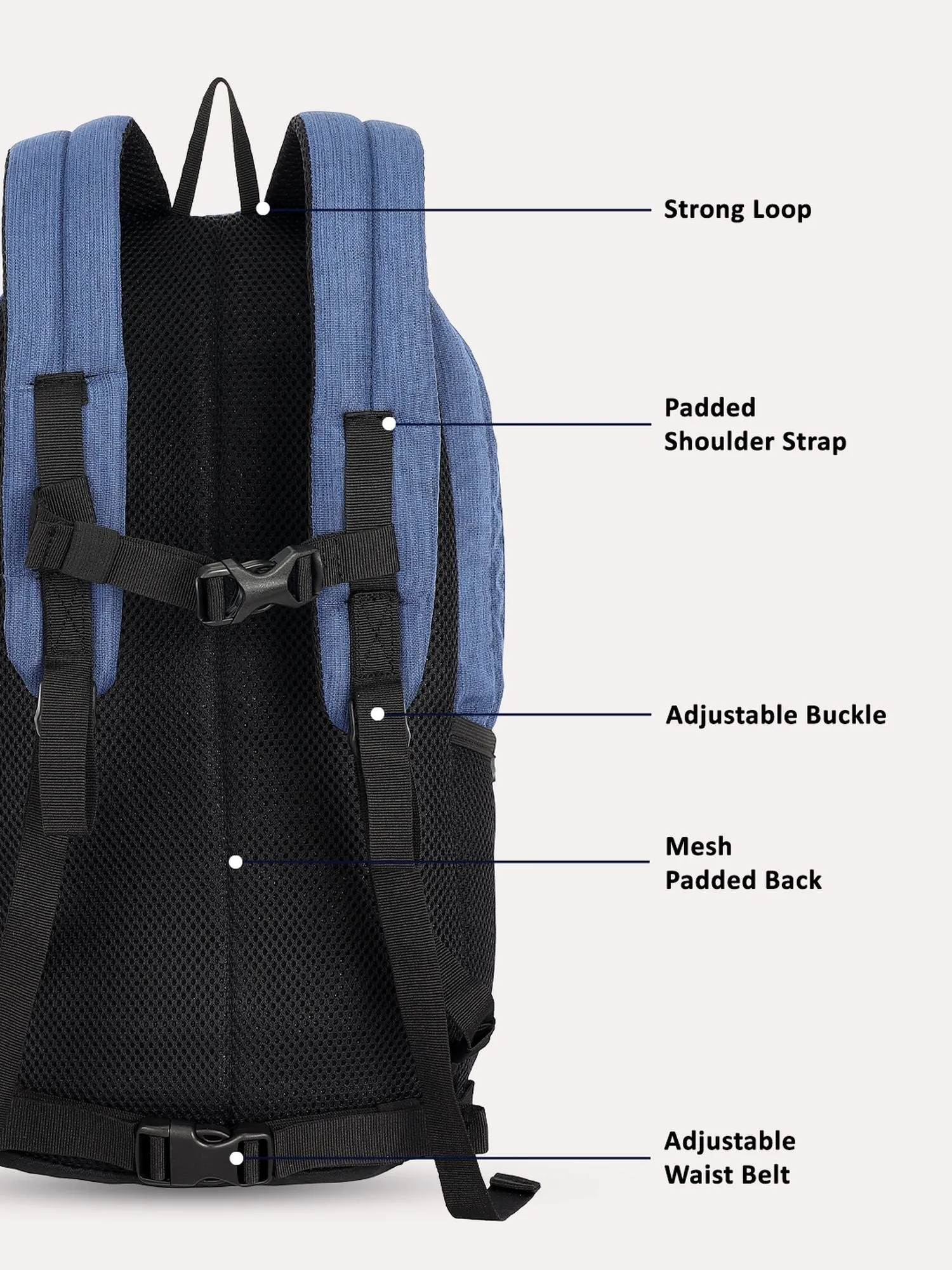 Lavie Sport 22L Ledge Casual Backpack for Girls and Boys|Men & Women Navy