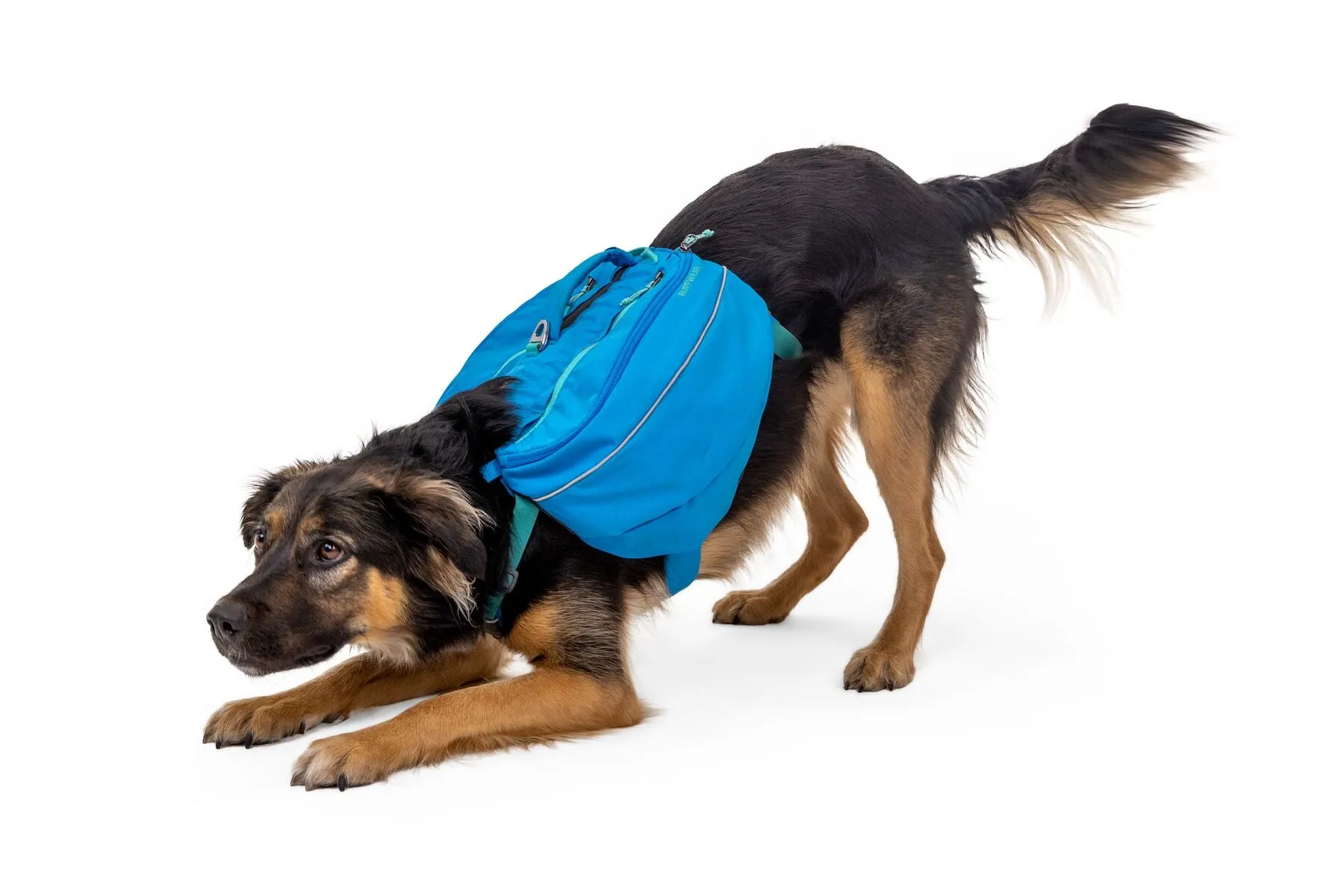 Ruffwear Approach Pack